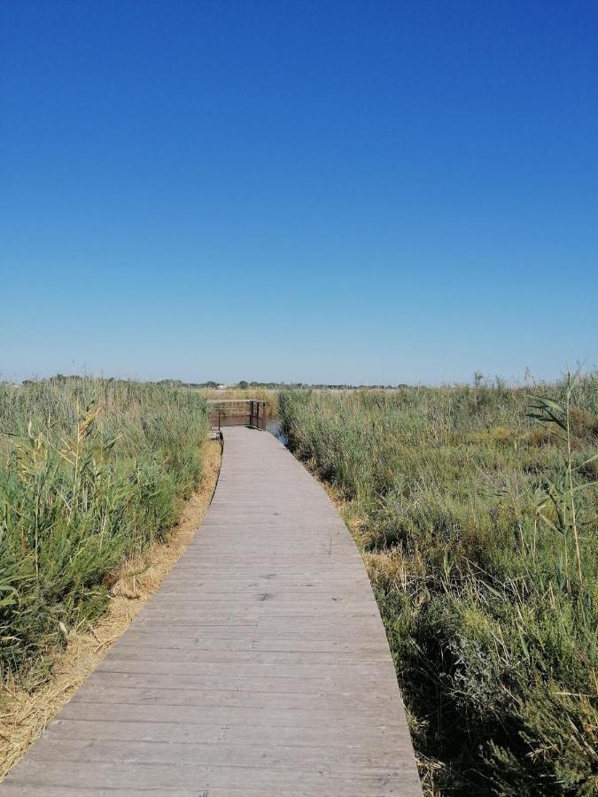 Marina A Aigues Mortes - Gard Екстер'єр фото
