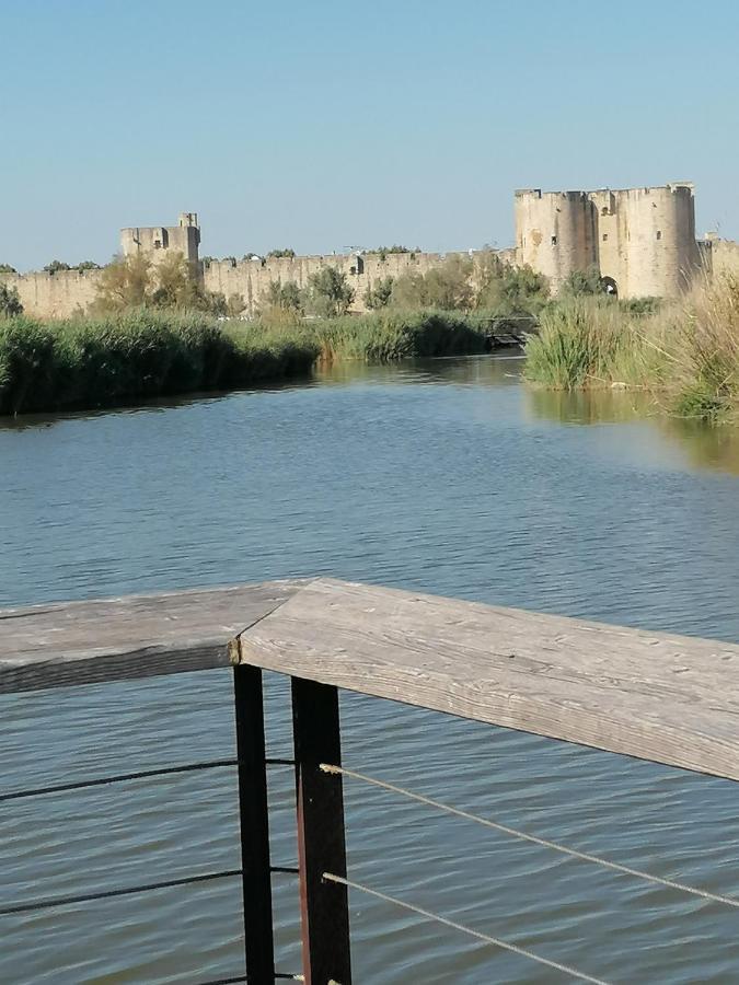 Marina A Aigues Mortes - Gard Екстер'єр фото